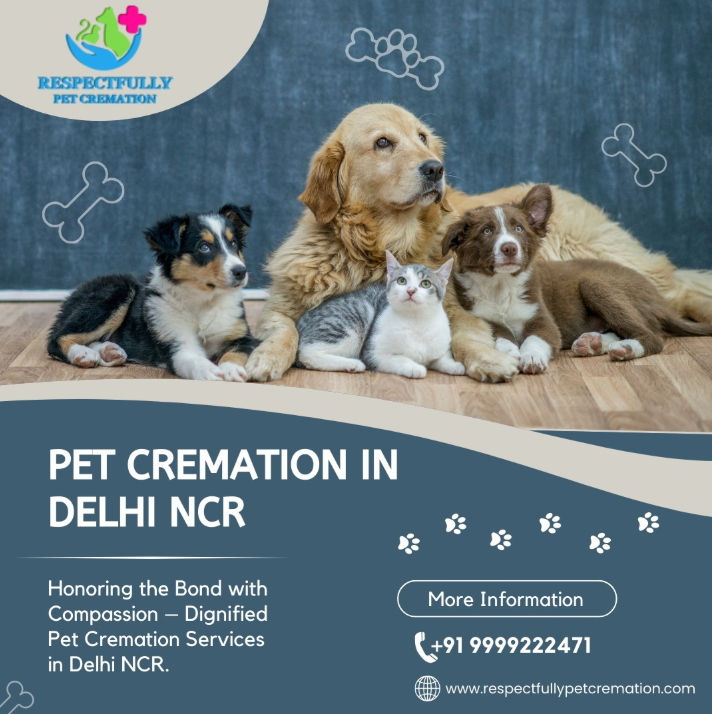 Respectfully Pet Cremation